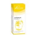 JUNIPERUS SIMILIAPLEX Mischung – Bild 1
