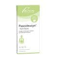 PASCOLEUCYN-Injektopas Ampullen – Bild 1