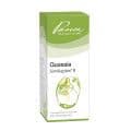 QUASSIA SIMILIAPLEX Mischung – Bild 1