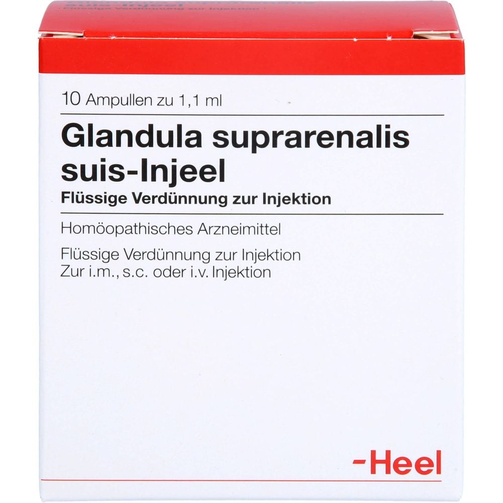 GLANDULA SUPRARENALIS suis Injeel Ampullen