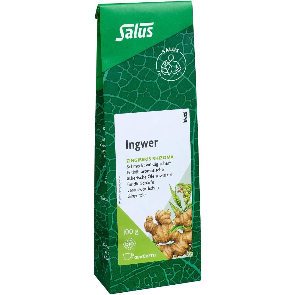 INGWER GEWÜRZTEE Zingiber officinale Bio Salus