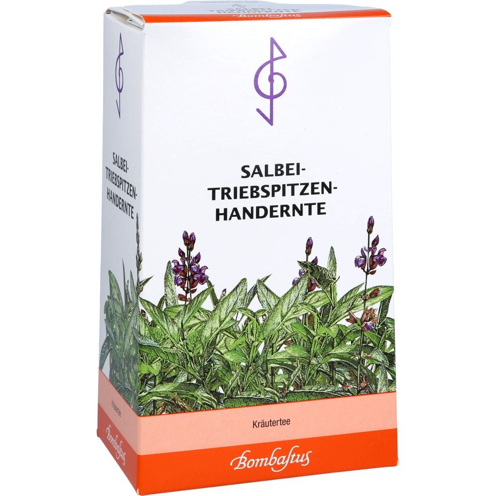 SALBEI TRIEBSPITZEN Tee Handernte