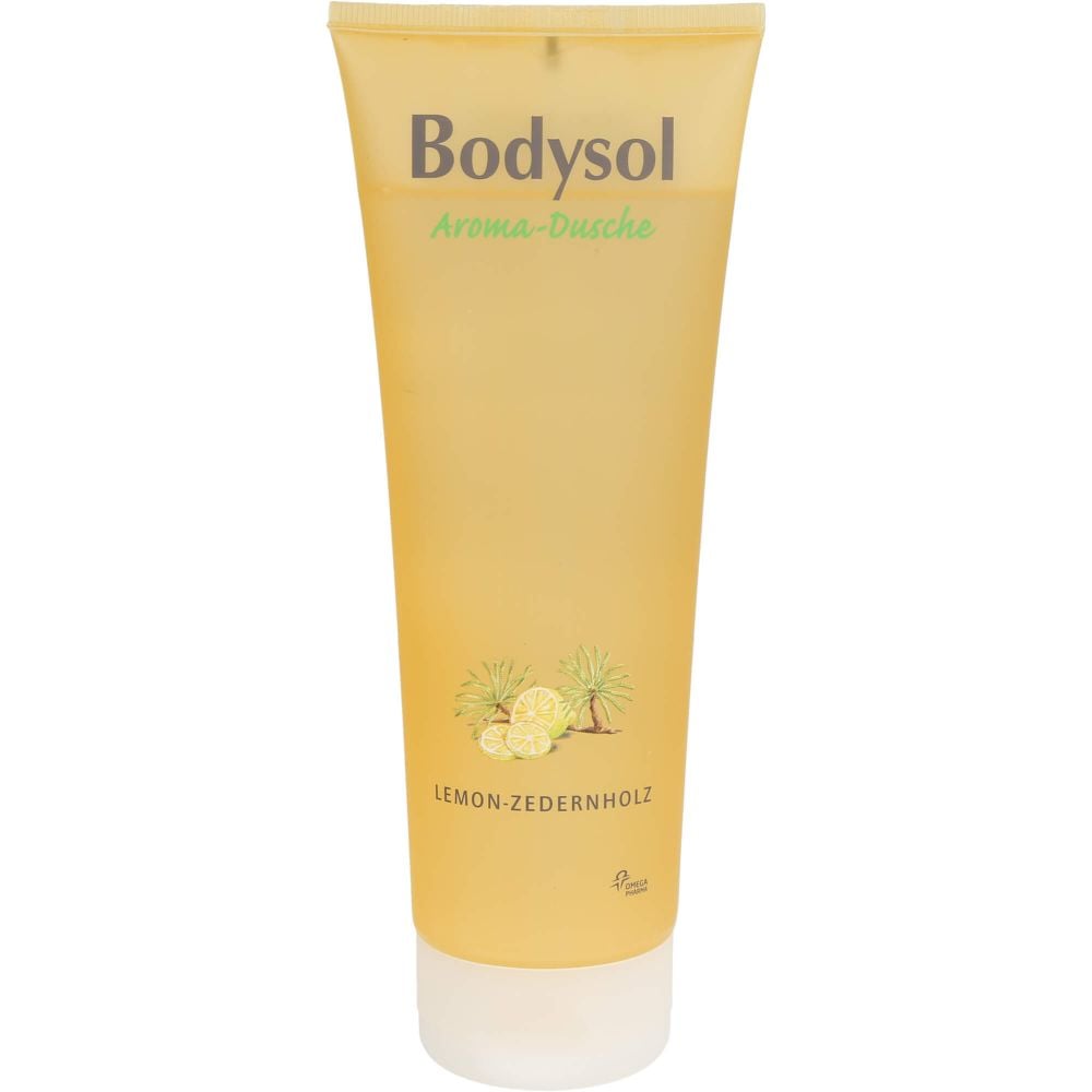 BODYSOL Aroma Duschgel Lemon Zedernholz
