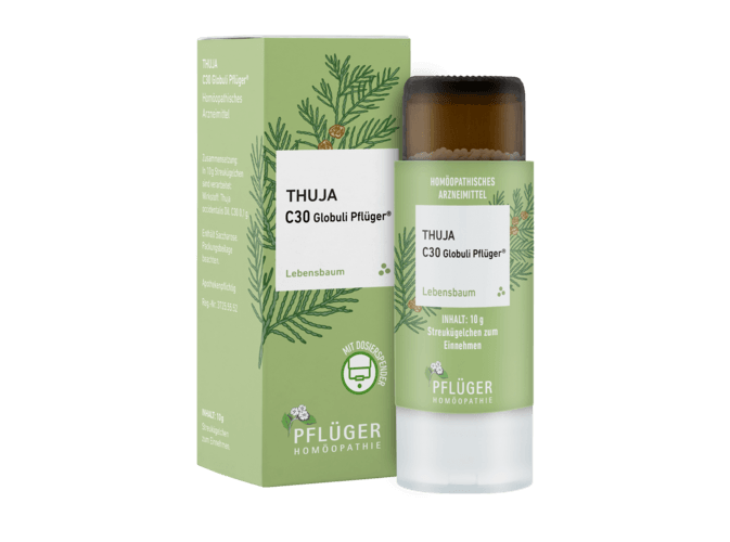 THUJA C 30 Globuli Pflüger Globulispender
