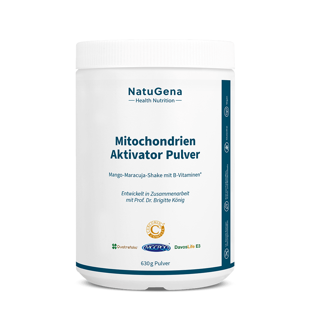 MITOCHONDRIEN Aktivator B-Komplex+Q10+Kurkuma Plv.