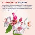 STROPHANTHUS HEVERT Tropfen – Bild 8