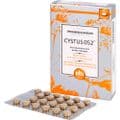 CYSTUS 052 Bio Halspastillen Honig Orange – Bild 2