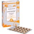 CYSTUS 052 Bio Halspastillen Honig Orange – Bild 3