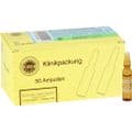 GINKGOBAKEHL D 4 Ampullen – Bild 3