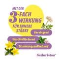 SEDARISTON Konzentrat Hartkapseln – Bild 4