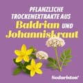 SEDARISTON Konzentrat Hartkapseln – Bild 6