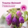 TRAUMAPLANT Schmerzcreme – Bild 13