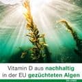 VITAMIN D-LOGES 7.000 I.E. pflanzlich Wochendepot – Bild 8