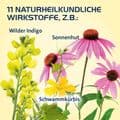 SINUSITIS HEVERT Tabletten – Bild 9