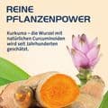 CURCUMIN HEVERT OptiSolv Kapseln – Bild 9