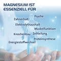 MAGNESIUM HEVERT Organic 7 Kapseln – Bild 6