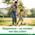 MAGNESIUM-LOGES vario 100 mg Kapseln – Bild 2