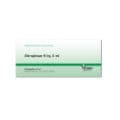 CHIROPLEXAN H Inj.Ampullen – Bild 1