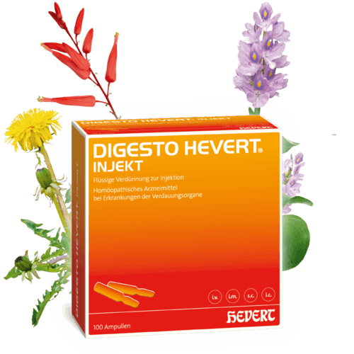 DIGESTO Hevert injekt Ampullen